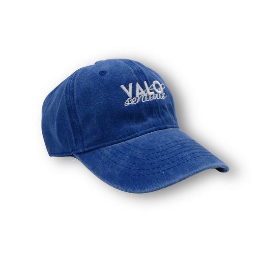 VALOsentials CAP WASHED